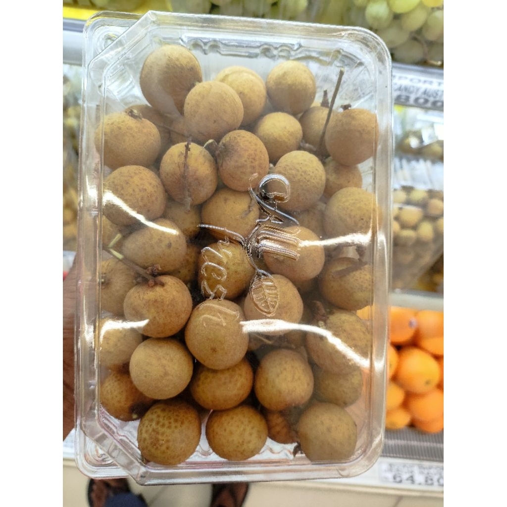 buah kelengkeng import Bangkok lengkeng bangkok original 1kg