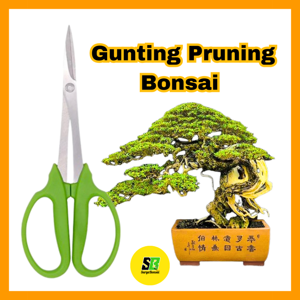 Gunting Pruning Bonsai Hijau Tajam Dan Kuat
