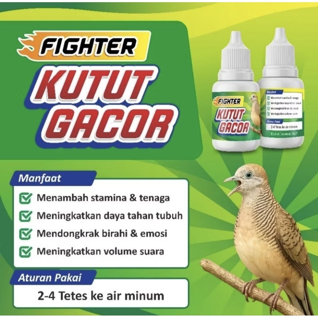 FIGHTER KUTUT GACOR VITAMIN BURUNG PERKUTUT MANGGUNG KUTUT MANGGUNG SUPER KOUNG PROVITT DEWA GACOR