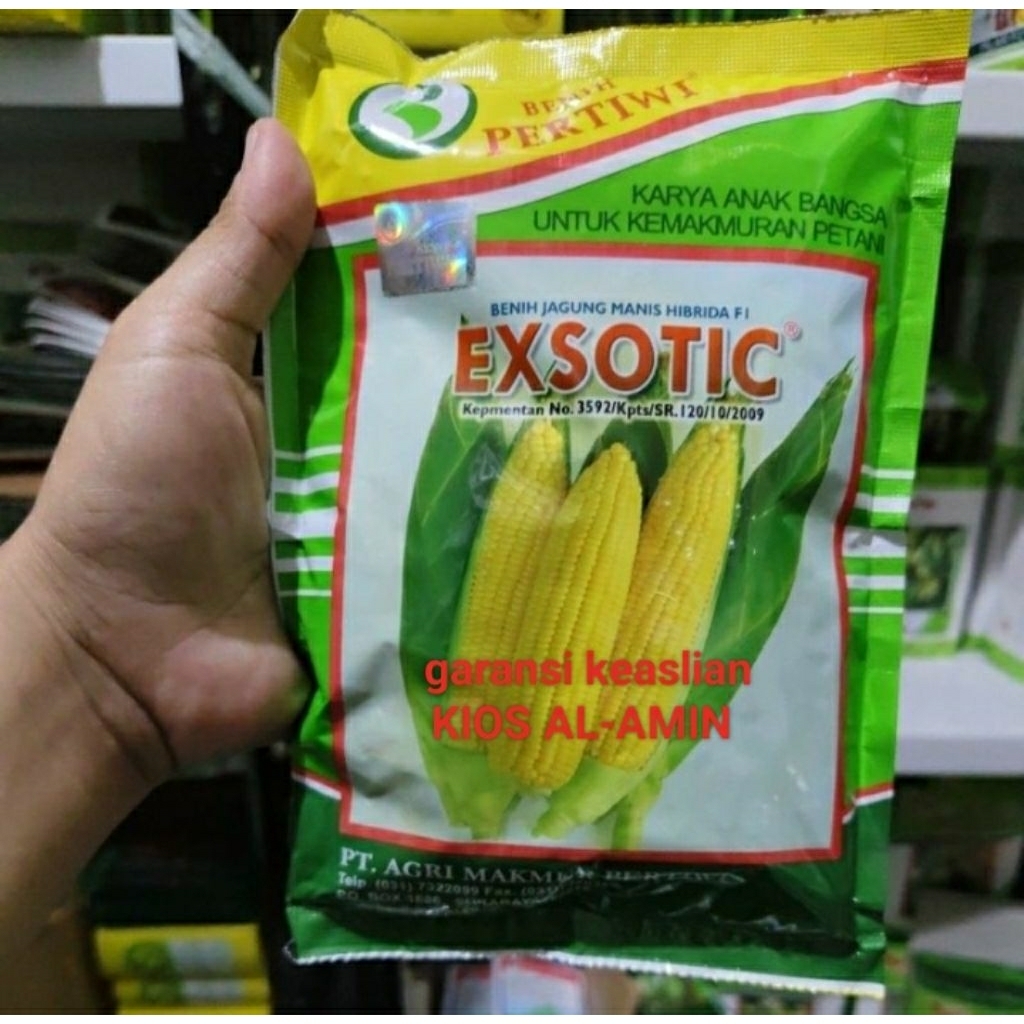 jagung manis exsotic kemasan ekonomis
