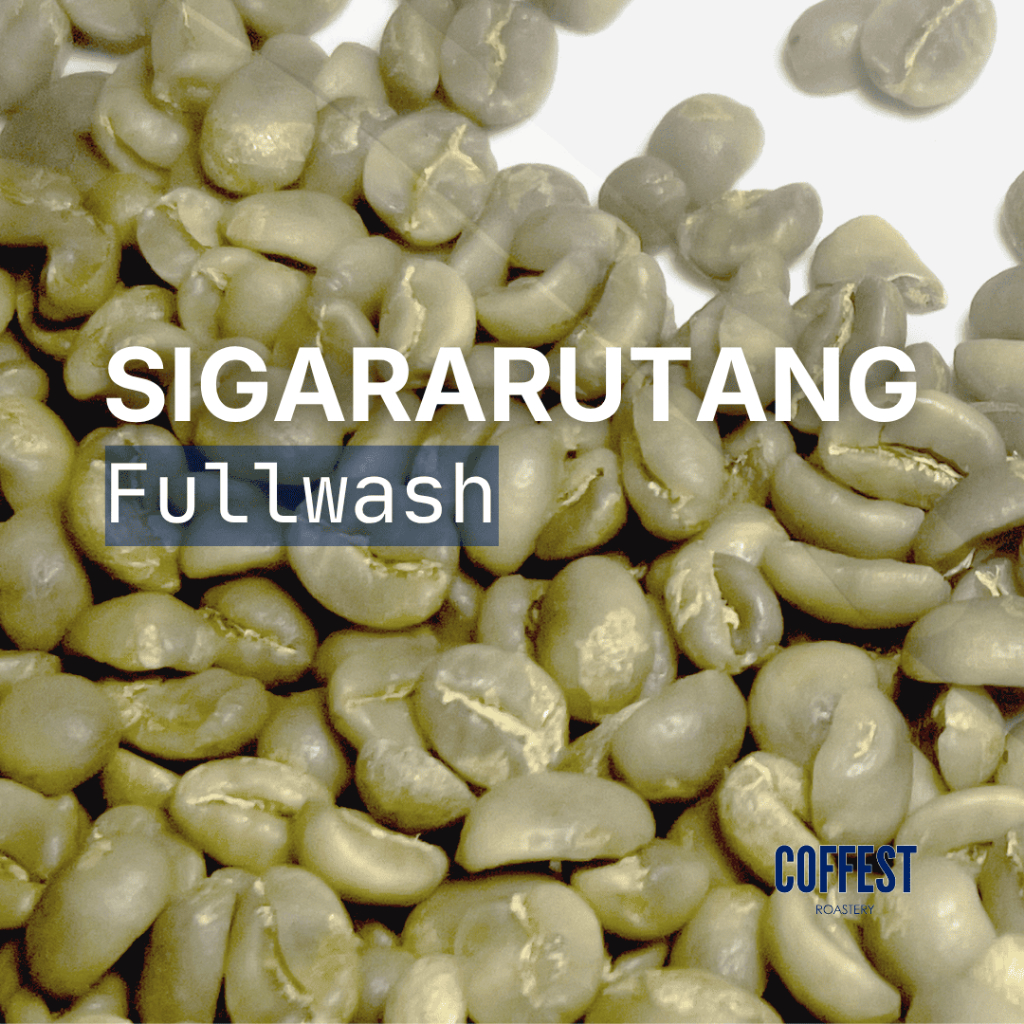 Green Bean Specialty Arabika Sigararutang - Fullwash Processed - 1 kg