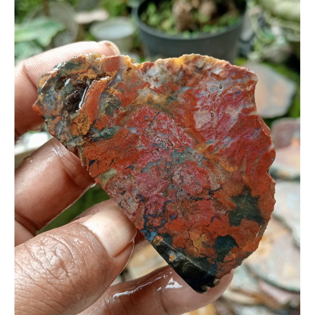 BAHAN BATU AKIK LEMPENGAN PANCAWARNA LUMUT