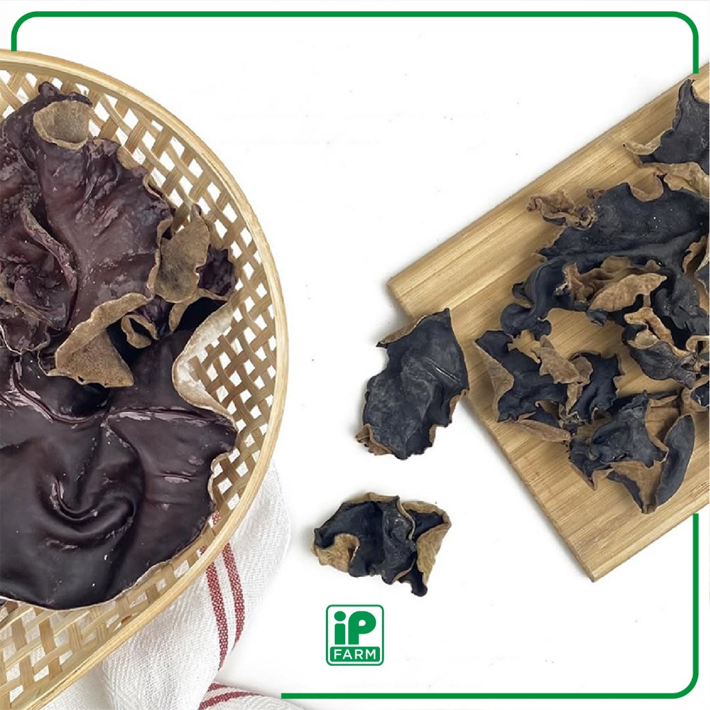 IP Farm Fresh Wood Ear Mushroom / Jamur Kuping Segar