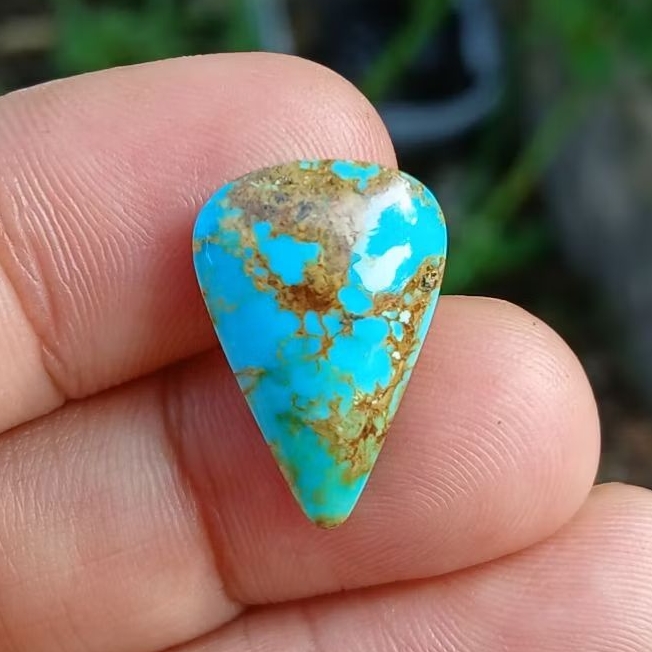 pirus persia serat emas