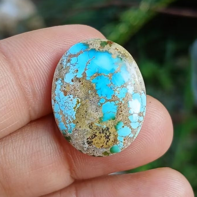 pirus persia