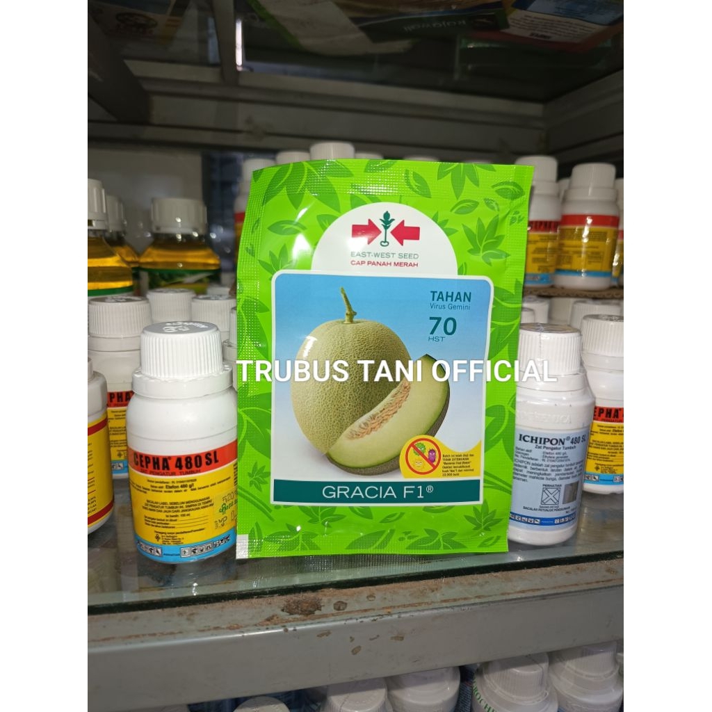 Benih Bibit Melon Madu Gracia F1, Tipe Melon Jumbo dan Perawatan Mudah, isi Benih 500 butir Kadaluar