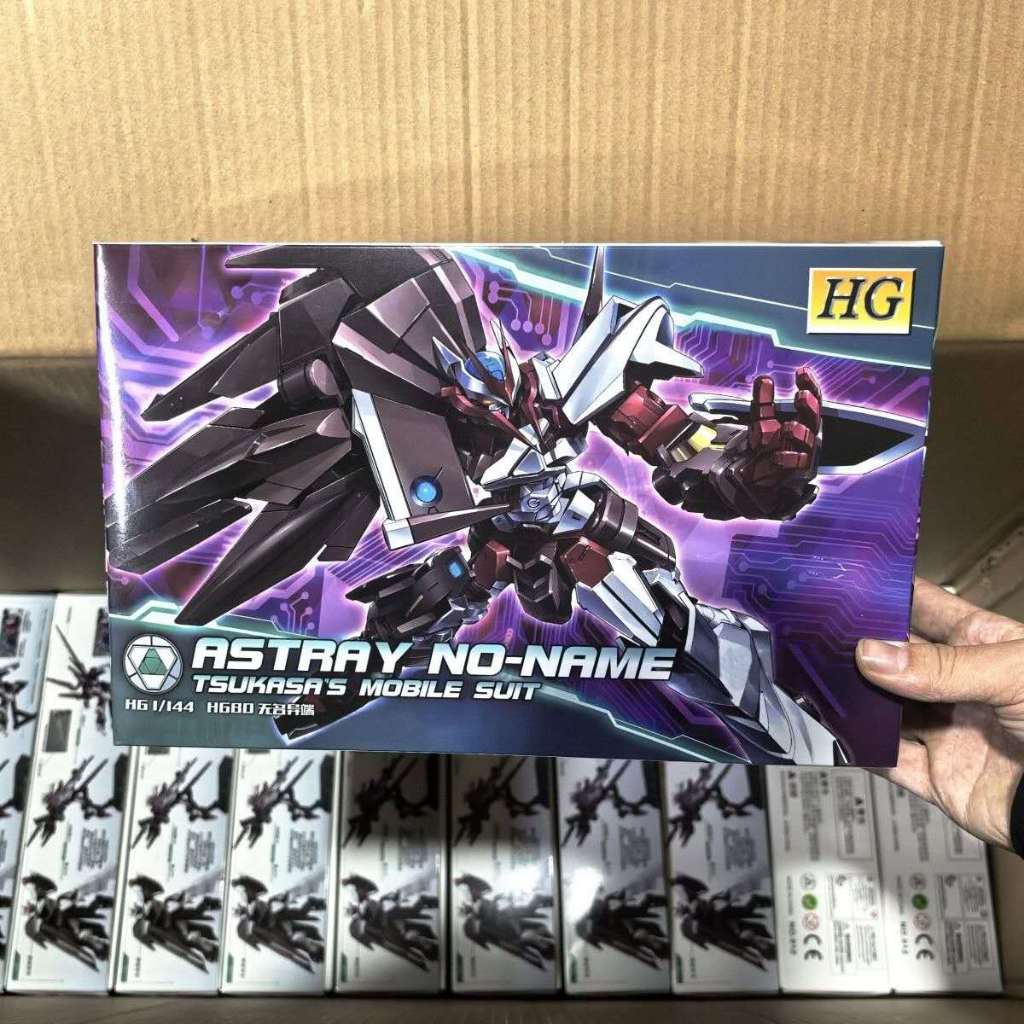Tiger Model 012 HG 1/144 Astray No Name Model Kit