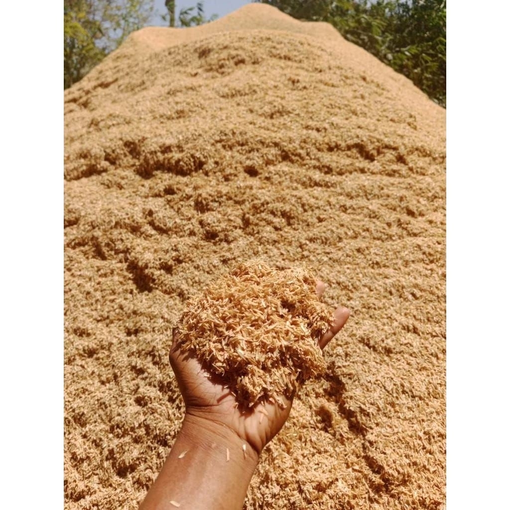 Sekam Mentah Padi
