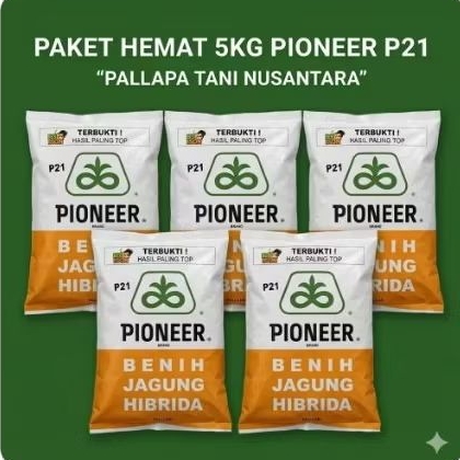COD PAKET HEMAT 5KG BENIH JAGUNG HIBRIDA PIONEER P21 KEMASAN 1KG