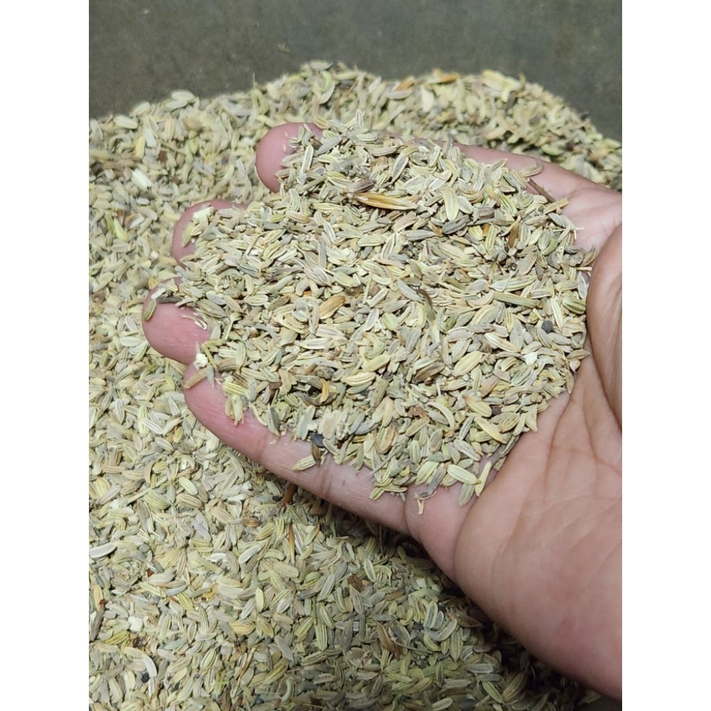 Adas manis / Biji Adas / Fennel seed