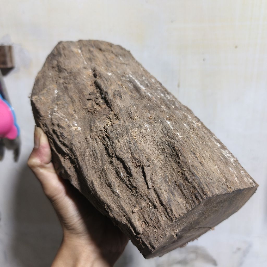 kayu galih johar 1kg