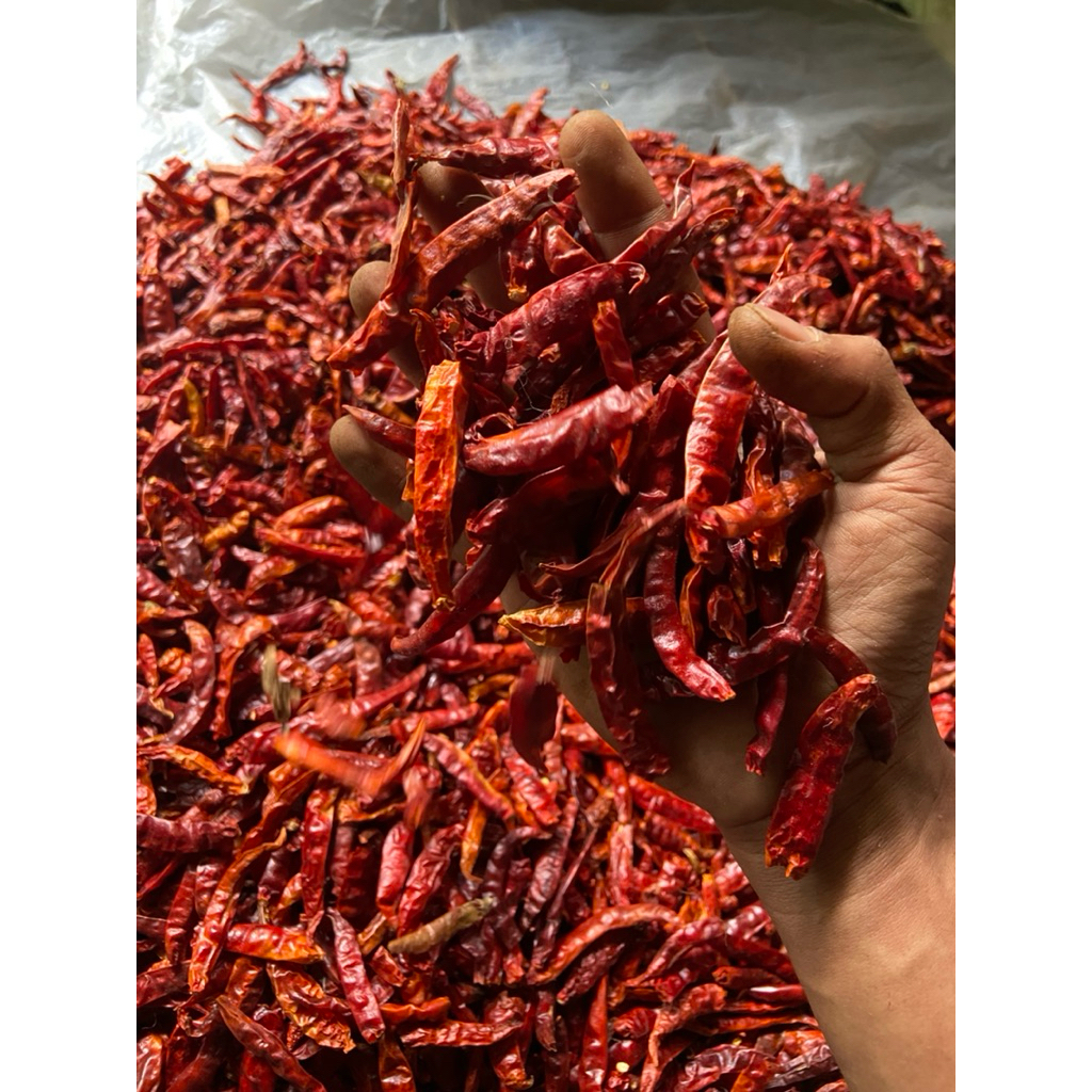 ( 1kg ) Cabe rawit merah kering kualitas super pedas