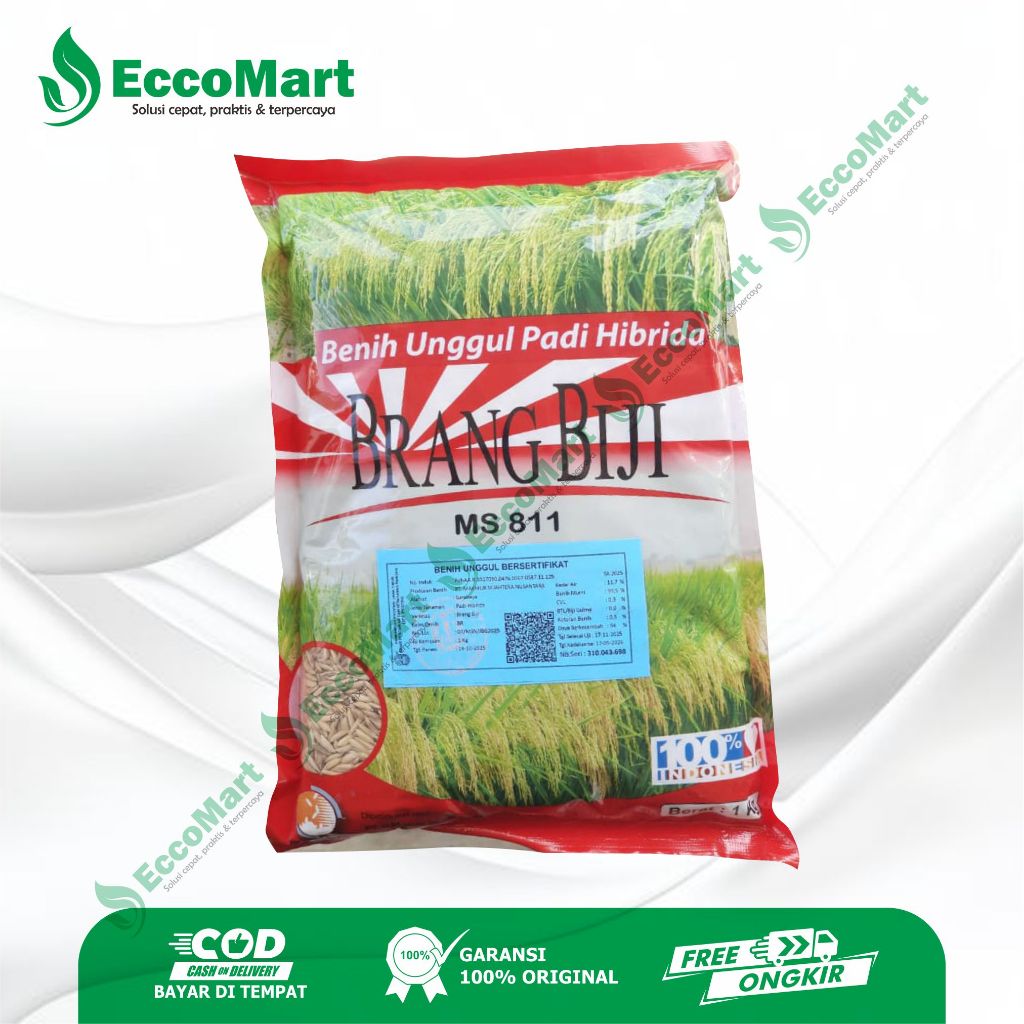 Benih Padi Hibrida Brang Biji Bibit Padi Unggul Kemasan 1Kg - Tahan rebah, Tahan wereng, Nasi pulen