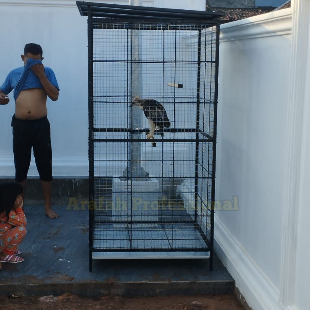 Kandang Burung Besar Hantu Elang Kakaktua Nuri Parrot Macaw Kotak Full Besi Kawat Tebal Galvanis Ant