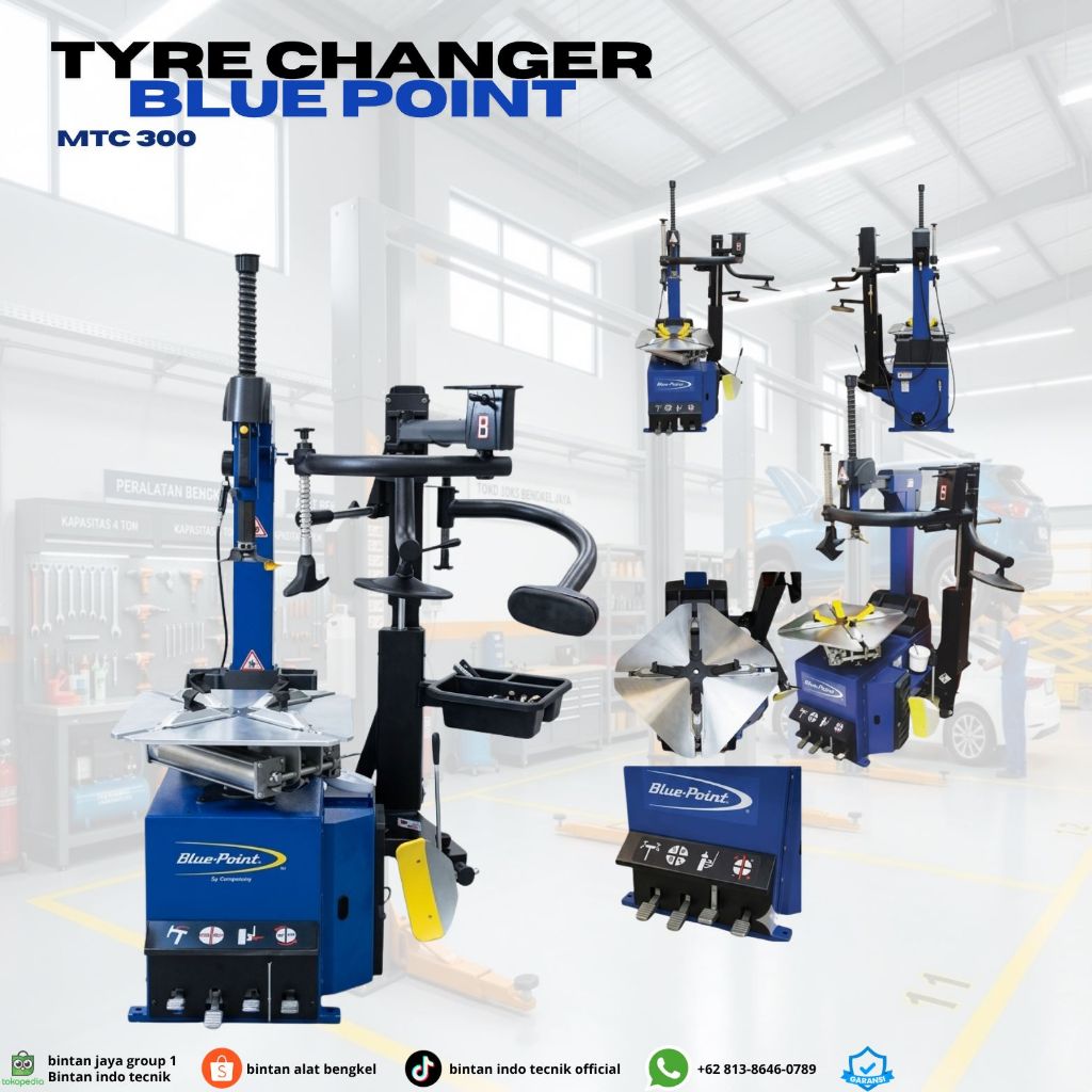 TYRE CHANGER BLUE POINT MTC 300 - Professional Tire Changer with Helper Arm