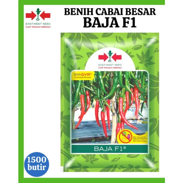 Benih Cabe Besar BAJA F1 100% Original Cap Panah Merah