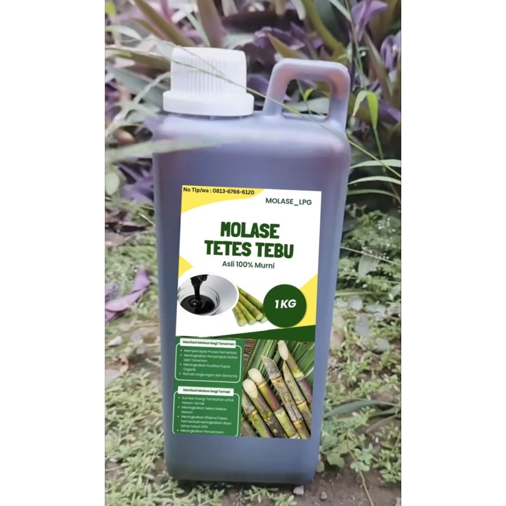 Molase/TetesTebu/Premium/Asli