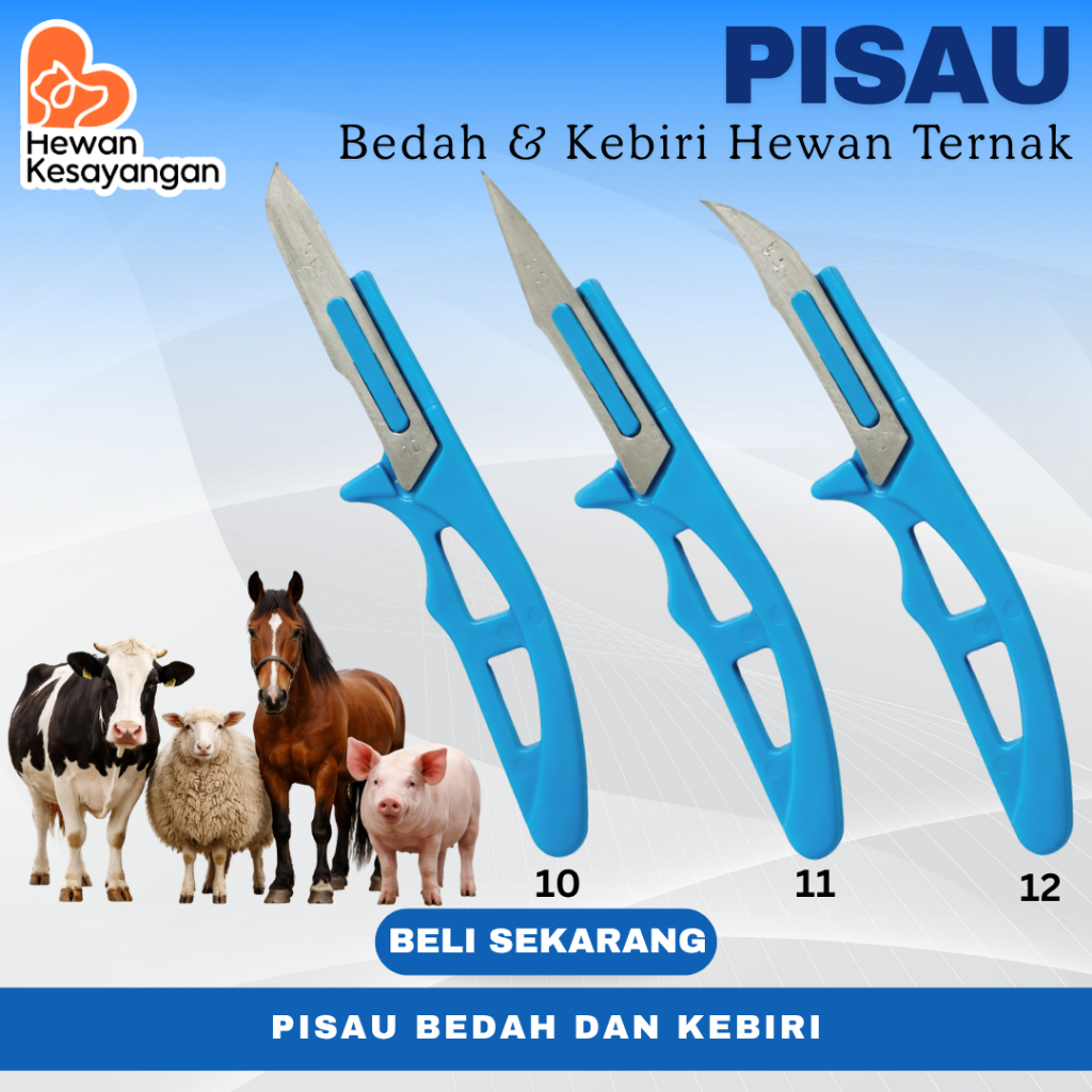 Pisau Bedah Pisau Kebiri Hewan Ternak Kucing Babi Kambing Domba Sapi  dll