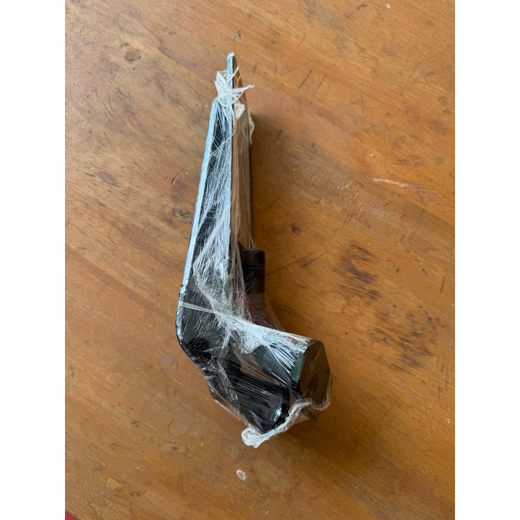 Spion Winglet ZX25R