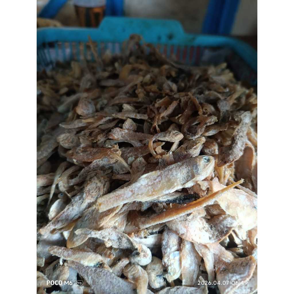 100gr ikan asin teri rebus