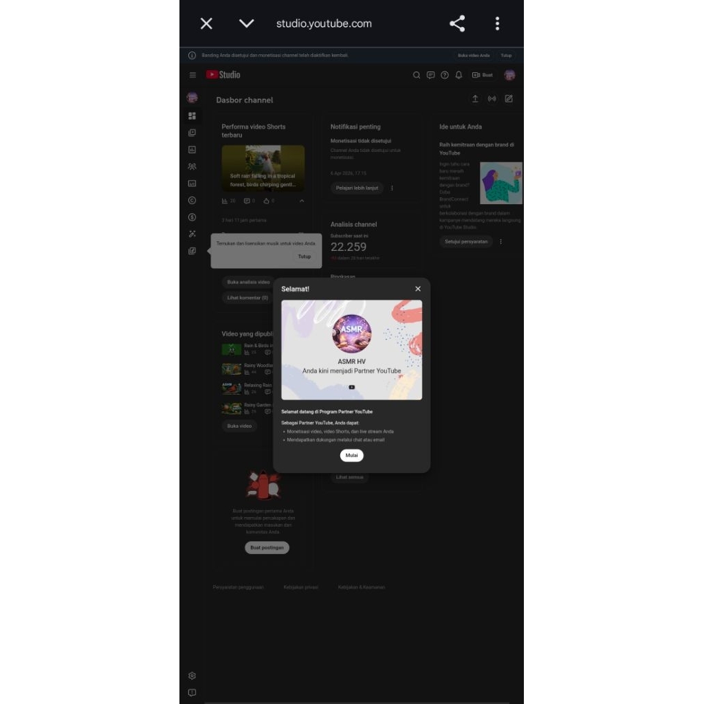 CH MONETISASI TANPA ADSENSE-SUDAH BISA GANTI ADSENSE