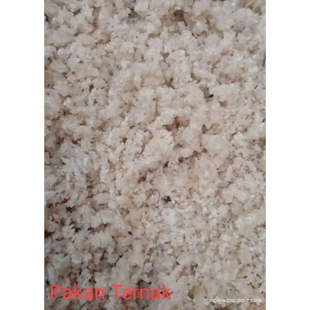 Nasi Aking 1 kg pakan ternak