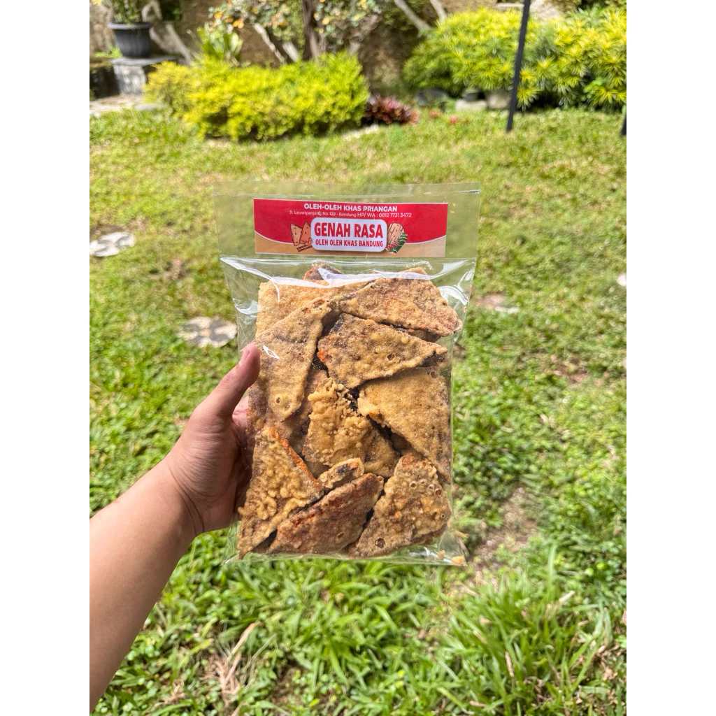 Keripik Oncom Goreng 250 g — foto detail 3 dari 6
