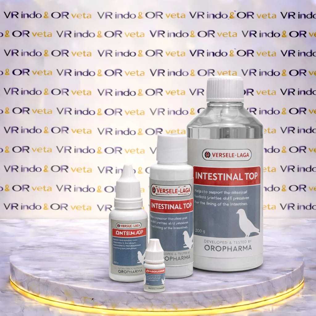 INTESTINAL TOP VERSELE LAGA VITAMIN SEHAT SALURAN PENCERNAAN MERPATI VITAMIN IMPORT