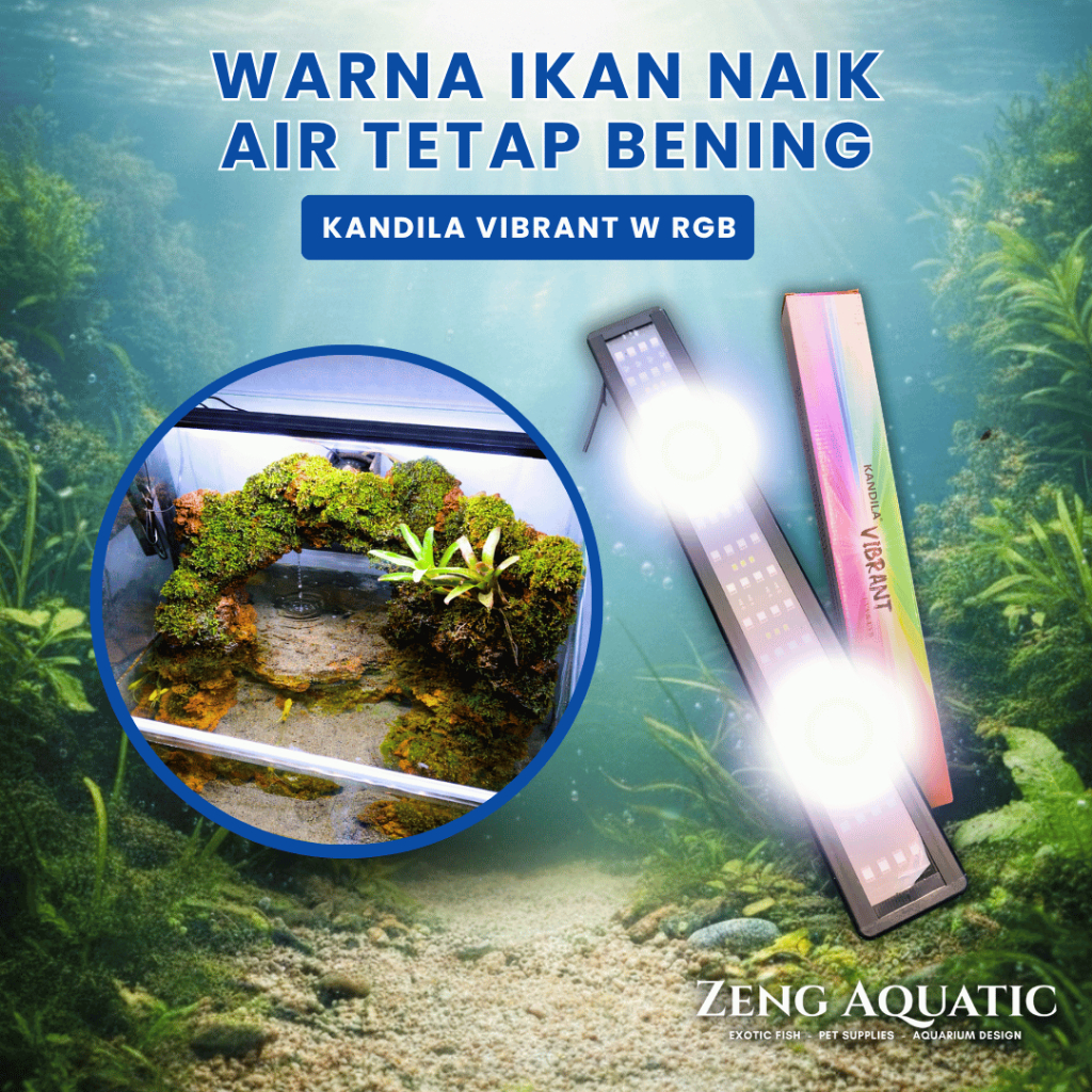 Lampu Aquarium Kandila Vibrant 50–60 Cm - 3 Mode Saklar On Off - Uva Uvb Led Lampu Gantung Aquascape