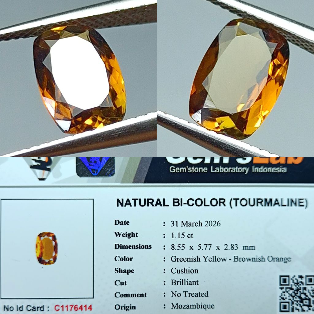 NATURAL PERMATA BI-COLOR TOURMALINE MOZAMBIQUE NO TREATED GOOD LUSTER MEMO GLI LAB