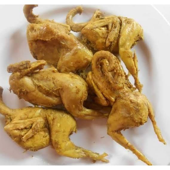 Puyuh Ungkep - Burung Puyuh
