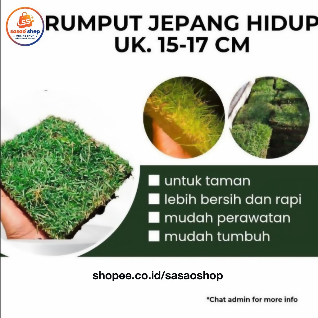 RUMPUT JEPANG HIDUP TAMAN|KUBURAN PERKOTAK