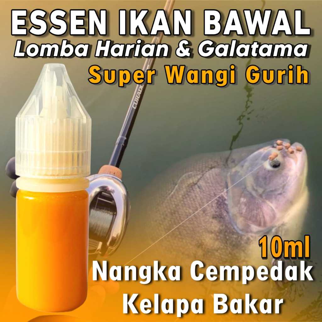 Essen Ikan Bawal Harian KiloGebrus paling Ampuh Dan Gacor 15ml, Essen Ikan Bawal Media cacing, Essen
