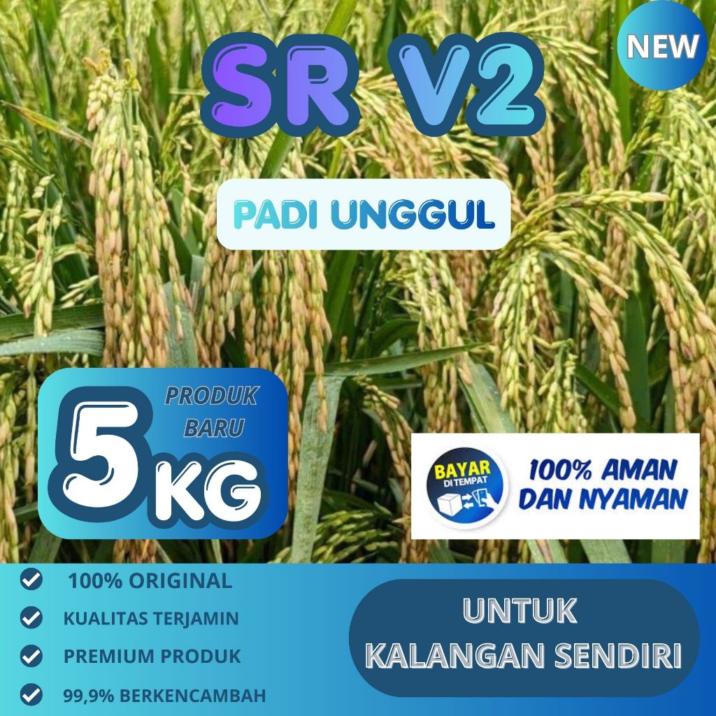 BENIH PADI GENJAH SR V2