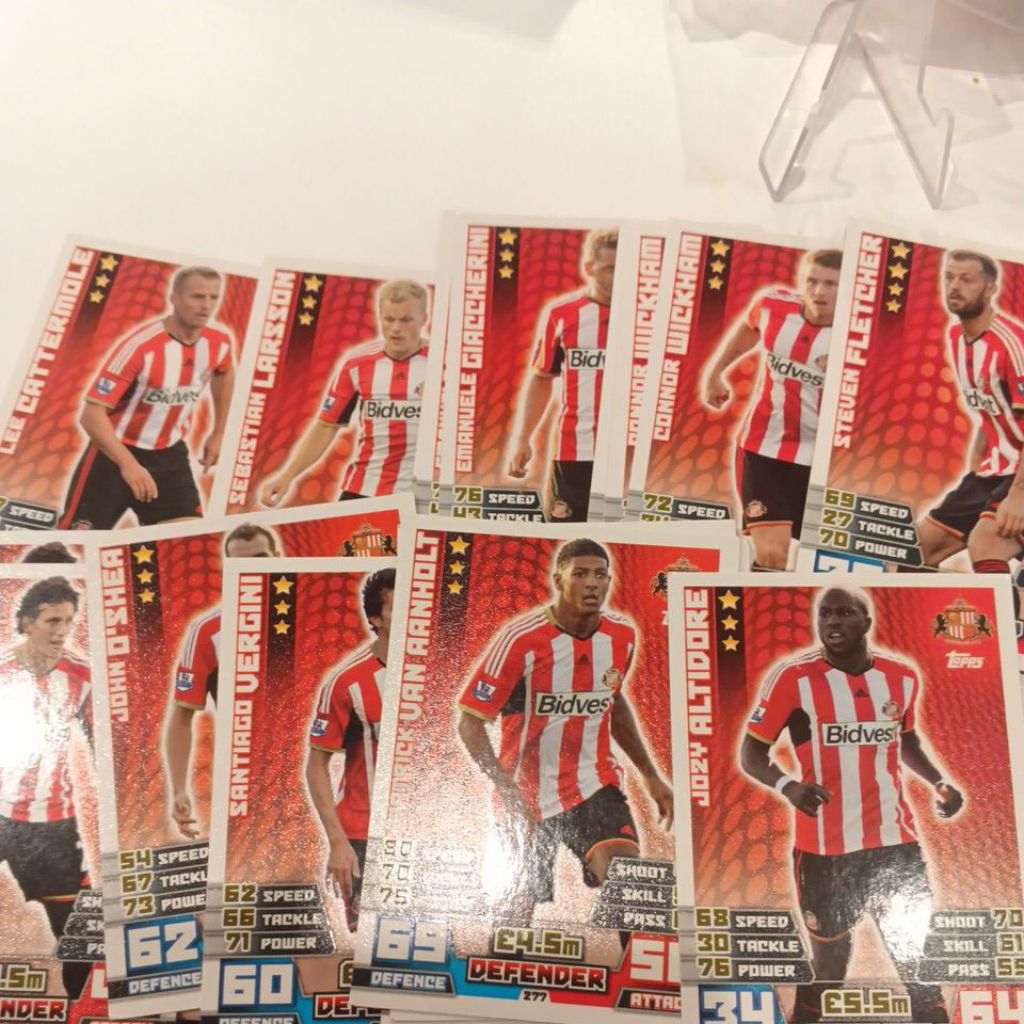 kartu bola match attax epl 2014/2015 Sunderland