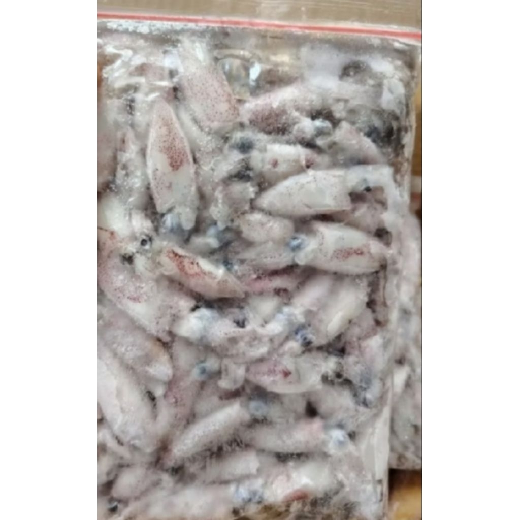 Cumi-Cumi Baby Kondisi Beku / Ikan Segar