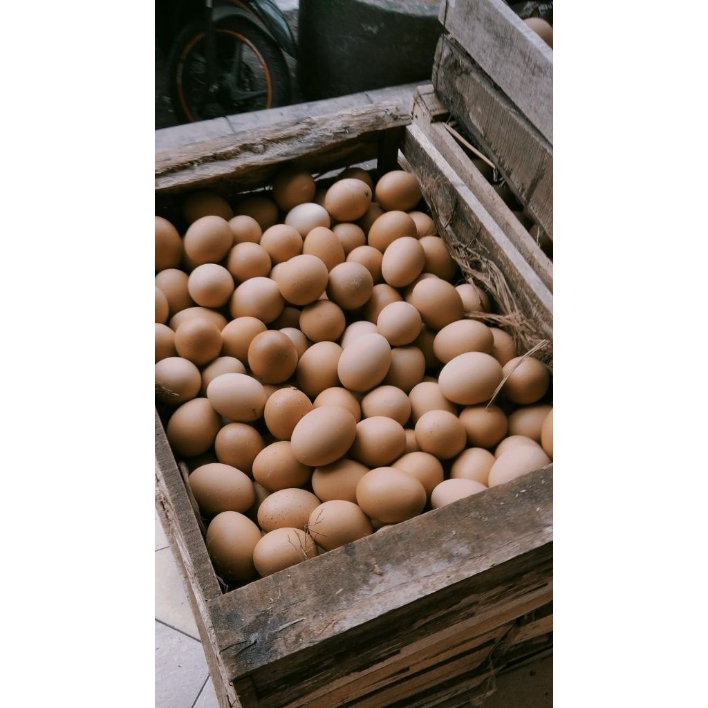 TELUR AYAM 1kg FRESH-KHUSUS PENGIRIMAN INSTAN BANDUNG dan sekitarnya