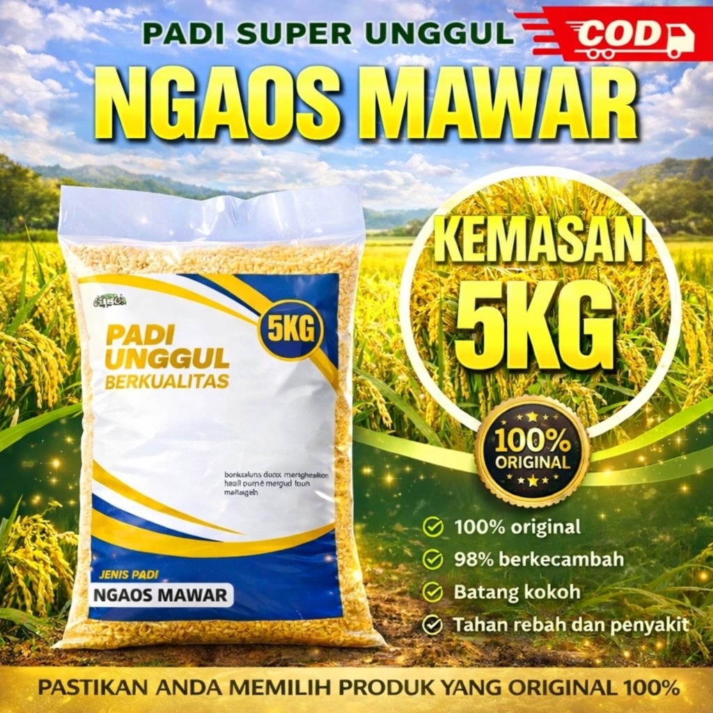 benih padi ngaos mawar 5kg