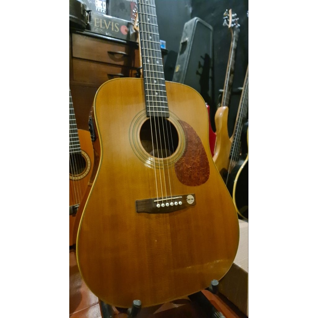 Gitar Cort Earth 70 NAT Original