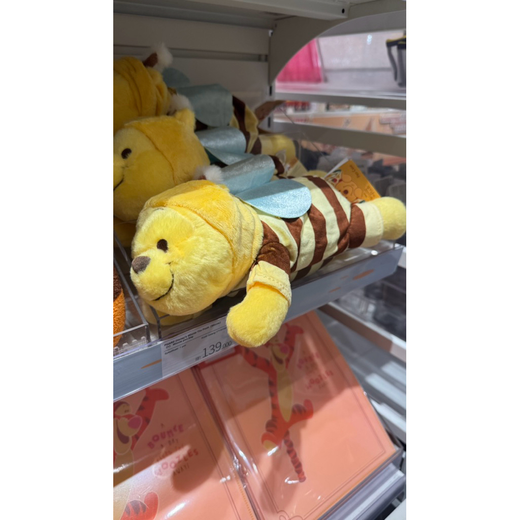 winnie the pooh and eeyore ohsome disney pensil case / tempat pensil winnie the pooh