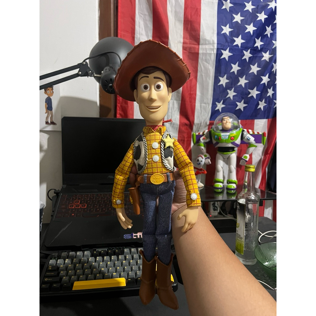 Woody Thinkway Toys