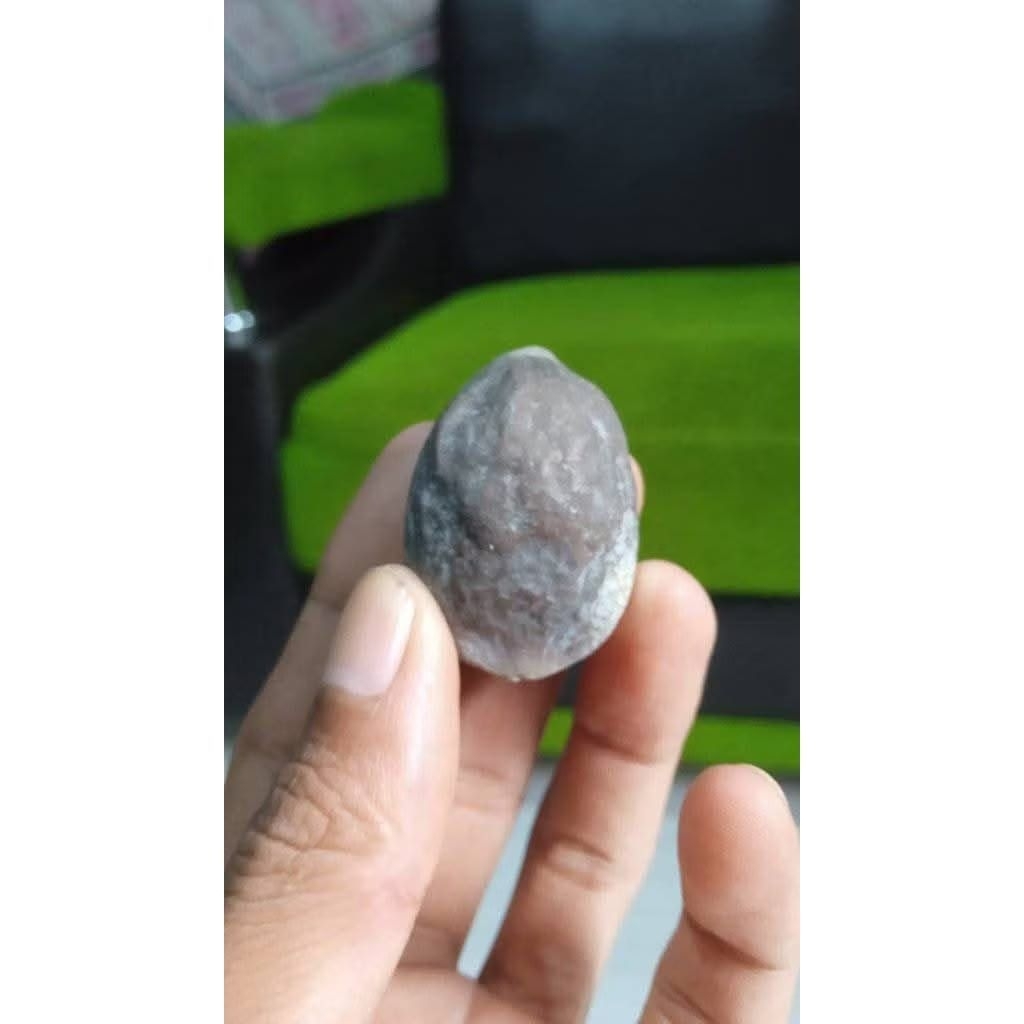 Muncang Adu Jawa Mantili Jr Tebal dan Kuat Beli 3 Gratis 1