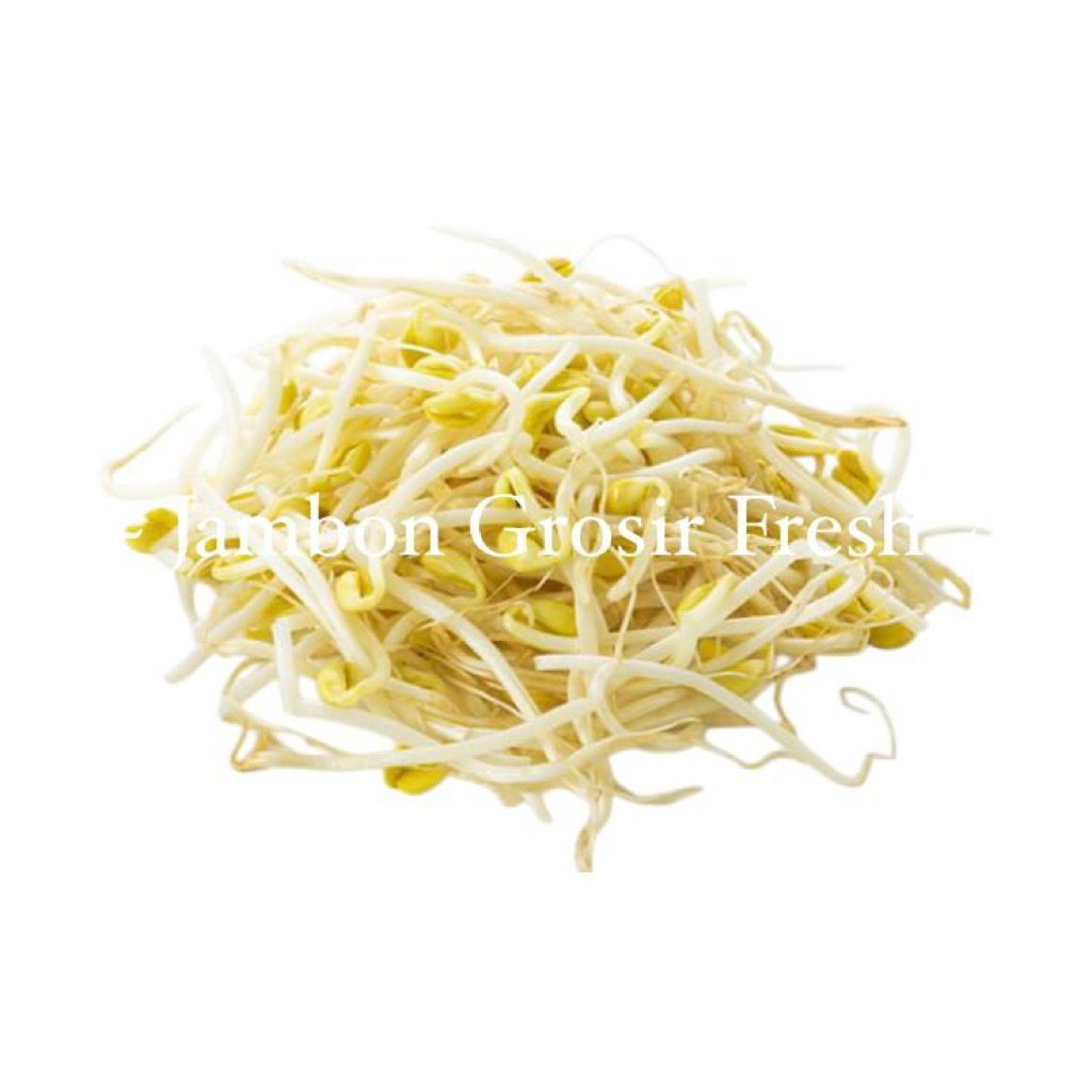 {Fresh} Tauge ±150gr