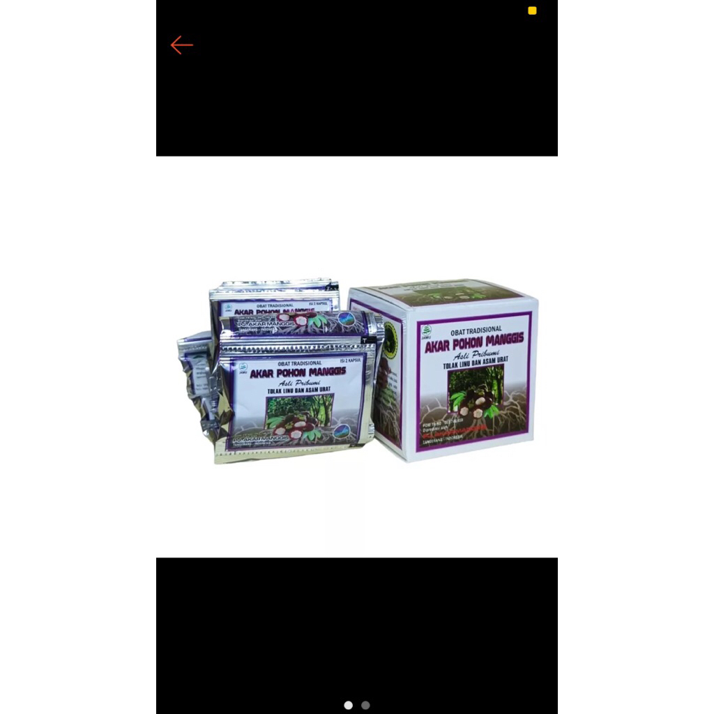 Akar Pohon Manggis Asam Urat