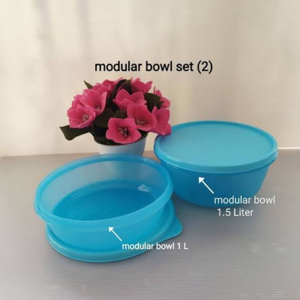 Modular Bowl set Tupperware (2 pcs)
