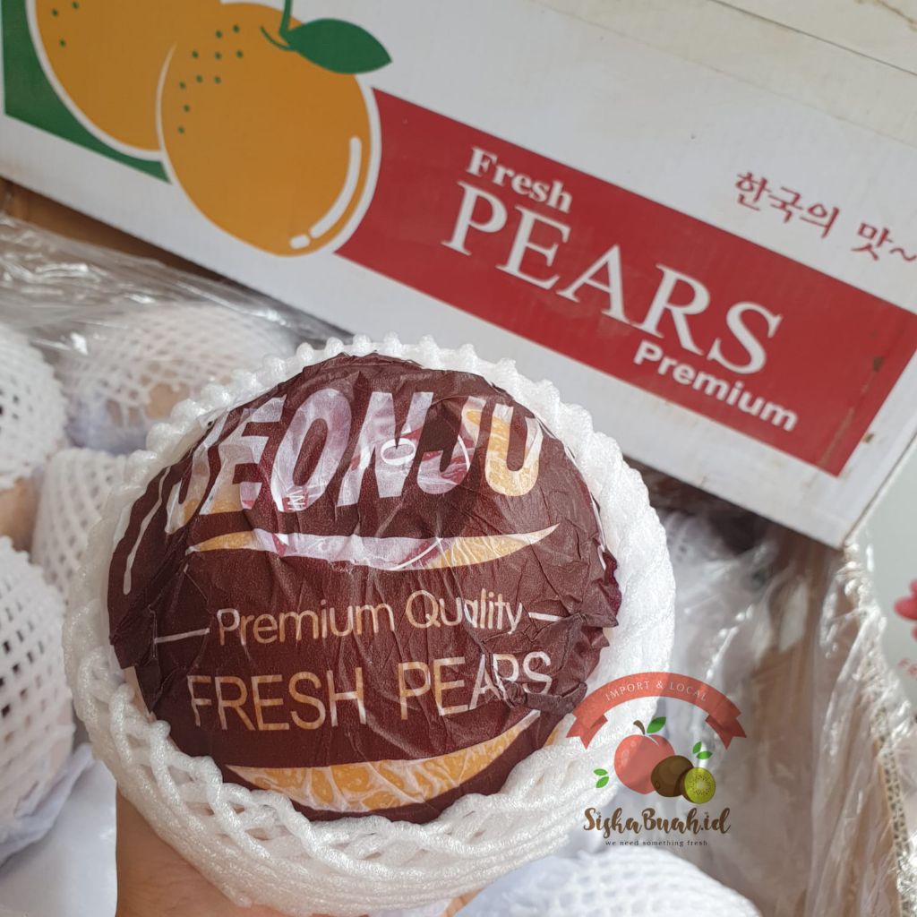 PEAR SINGO KOREA JUMBO MANIS | PEAR SINGO JUMBO