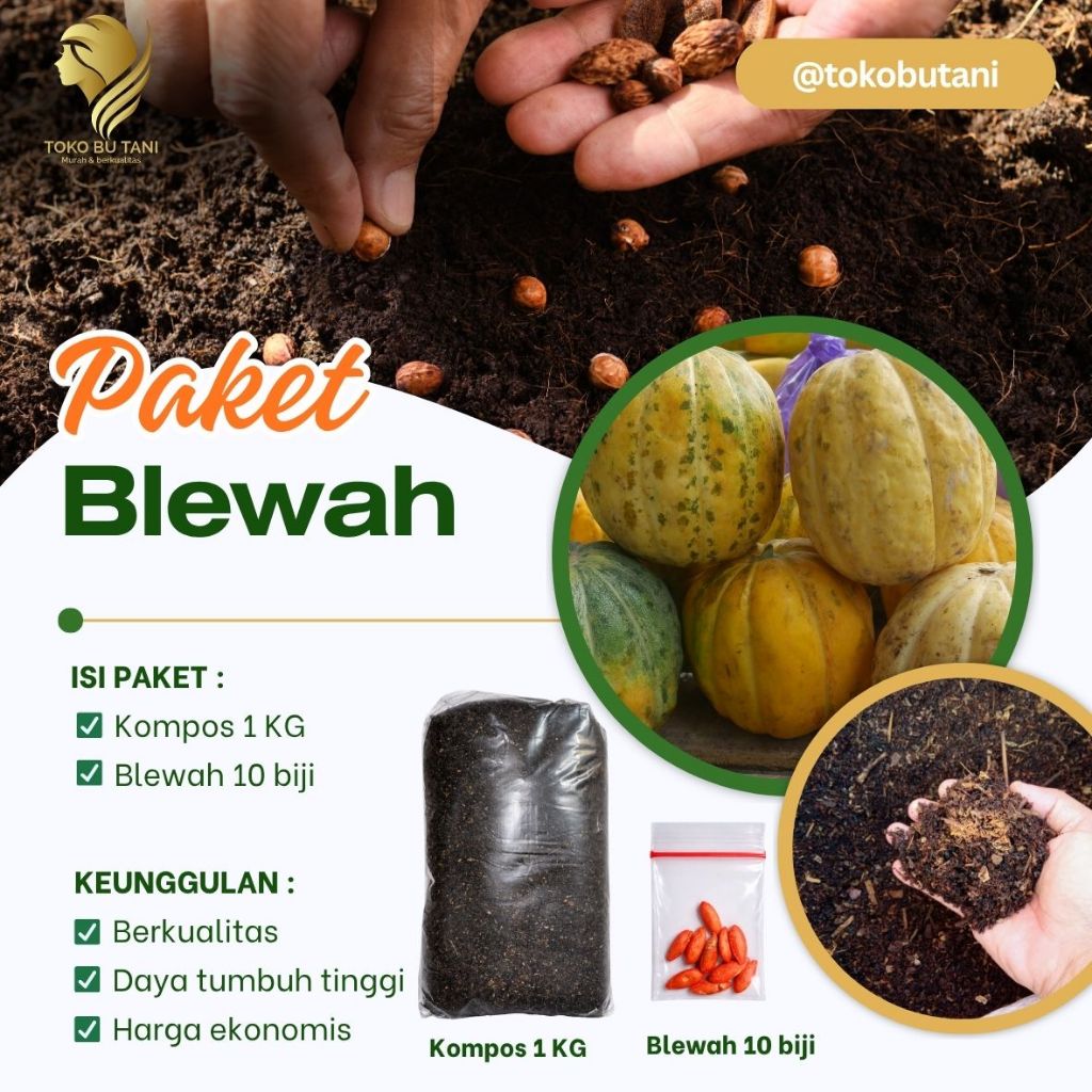 Benih Blewah Siap Tanam Benih Buah Blewah Siap tanam