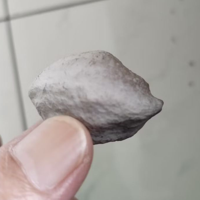 Kemiri Adu Muncang Adu LK Ori Malangbong Extreme Urgen Full Tua
