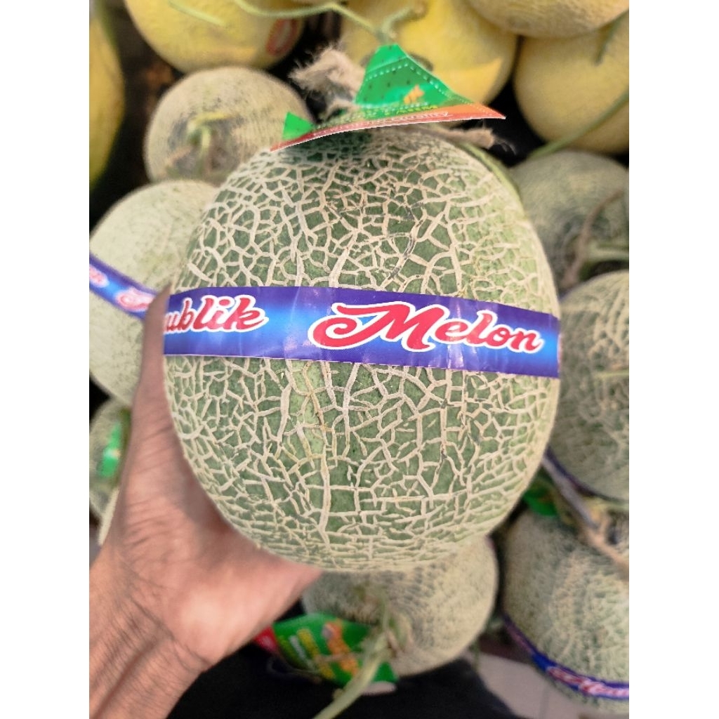 melon rock orange jepang melon import jepang original 1 pcs