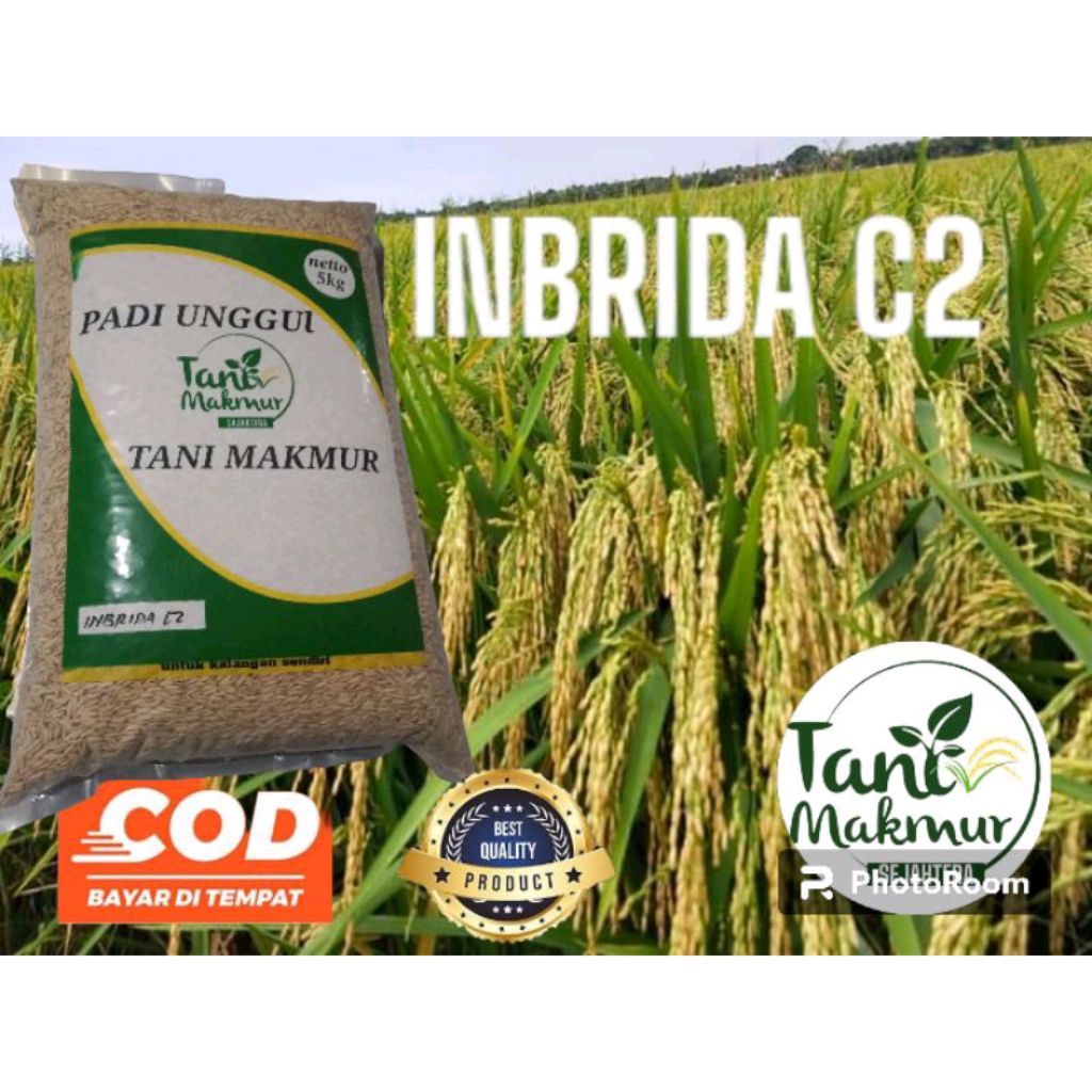 BENIH PADI INBRIDA C2 Original KEMASAN 5KG